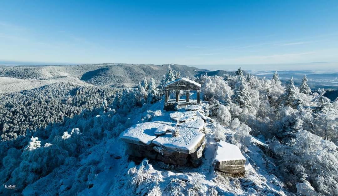 Gite De Rarounette Au Coeur Des Vosges Celles-sur-Plaine Exterior photo