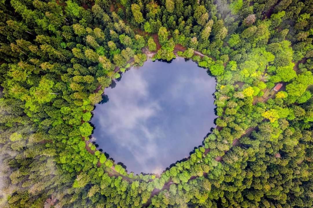 Gite De Rarounette Au Coeur Des Vosges Celles-sur-Plaine Exterior photo