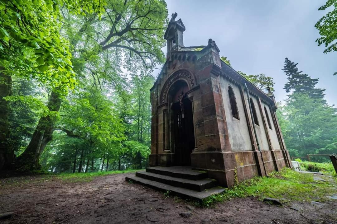 Gite De Rarounette Au Coeur Des Vosges Celles-sur-Plaine Exterior photo