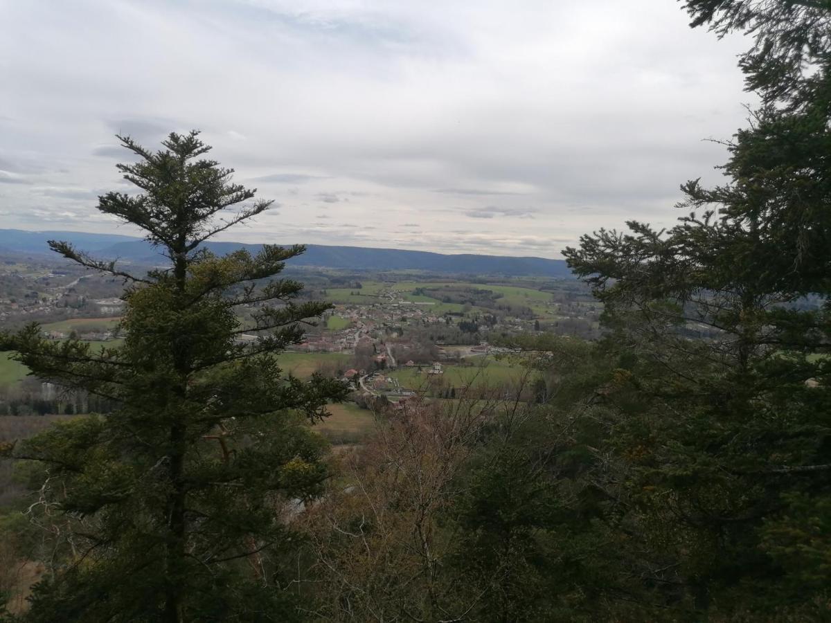 Gite De Rarounette Au Coeur Des Vosges Celles-sur-Plaine Exterior photo