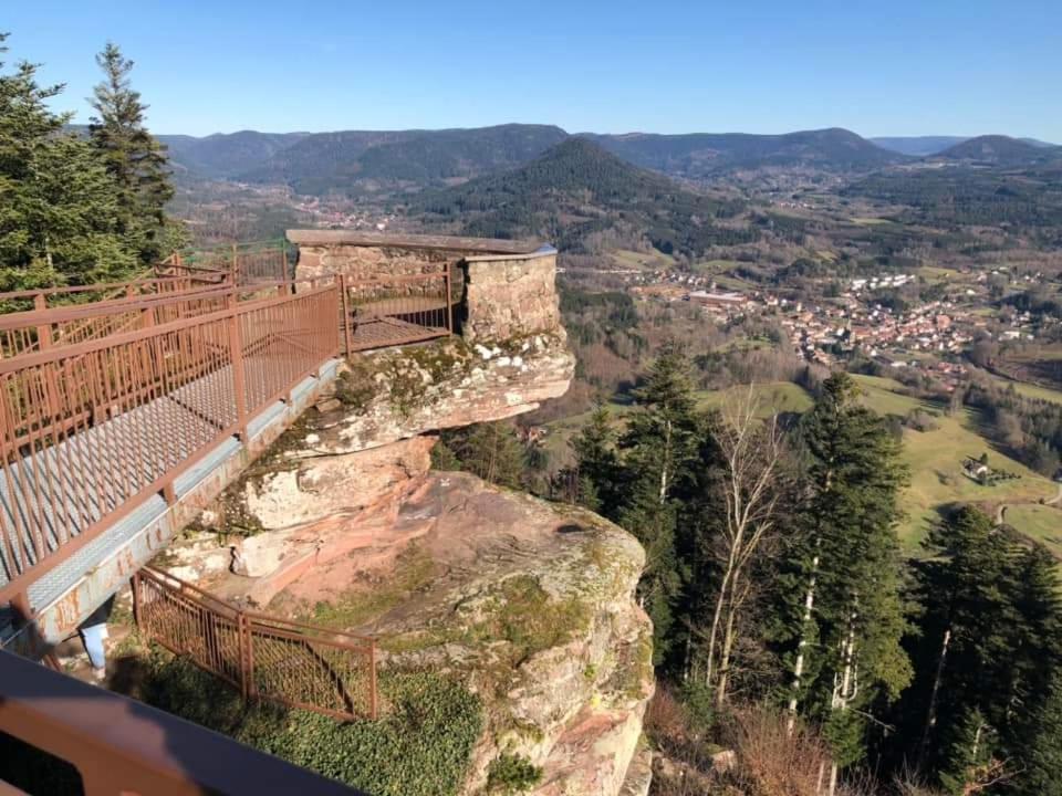 Gite De Rarounette Au Coeur Des Vosges Celles-sur-Plaine Exterior photo