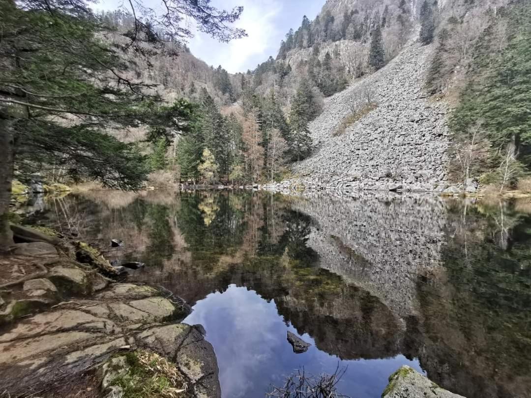 Gite De Rarounette Au Coeur Des Vosges Celles-sur-Plaine Exterior photo
