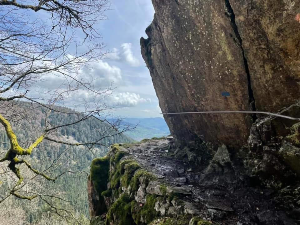 Gite De Rarounette Au Coeur Des Vosges Celles-sur-Plaine Exterior photo