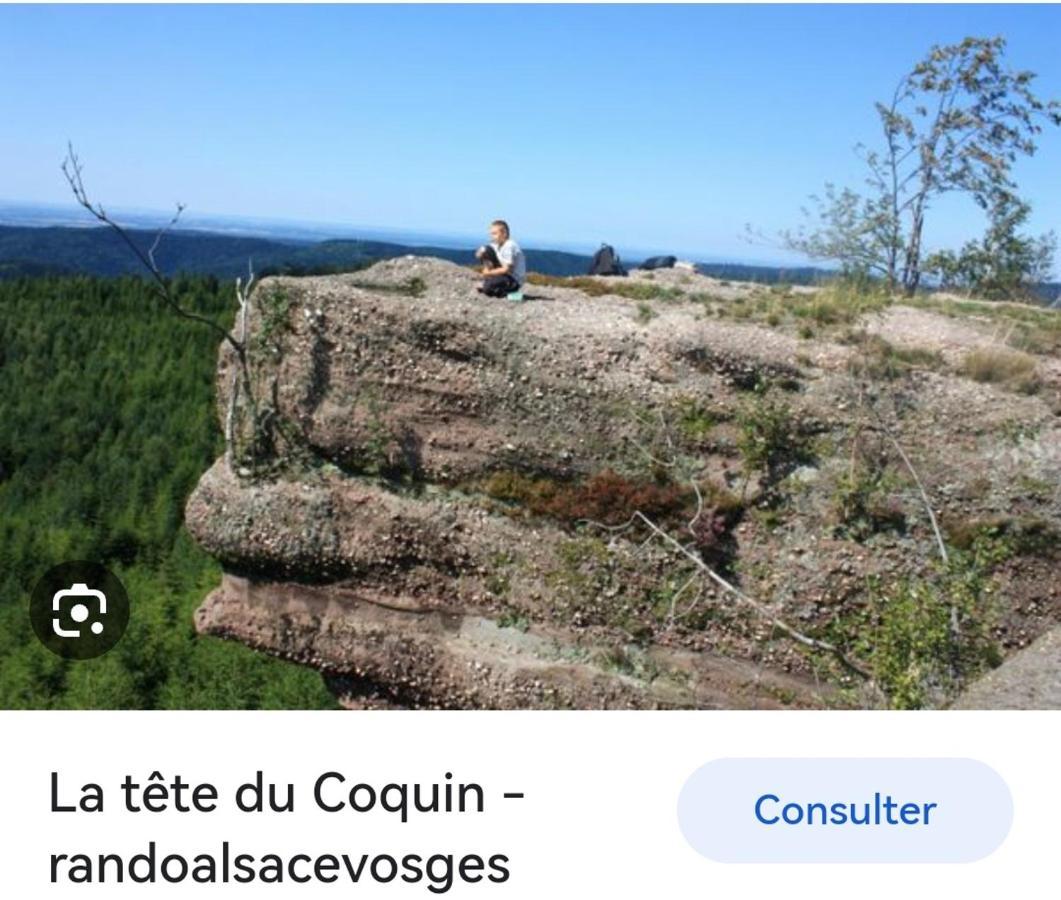 Gite De Rarounette Au Coeur Des Vosges Celles-sur-Plaine Exterior photo