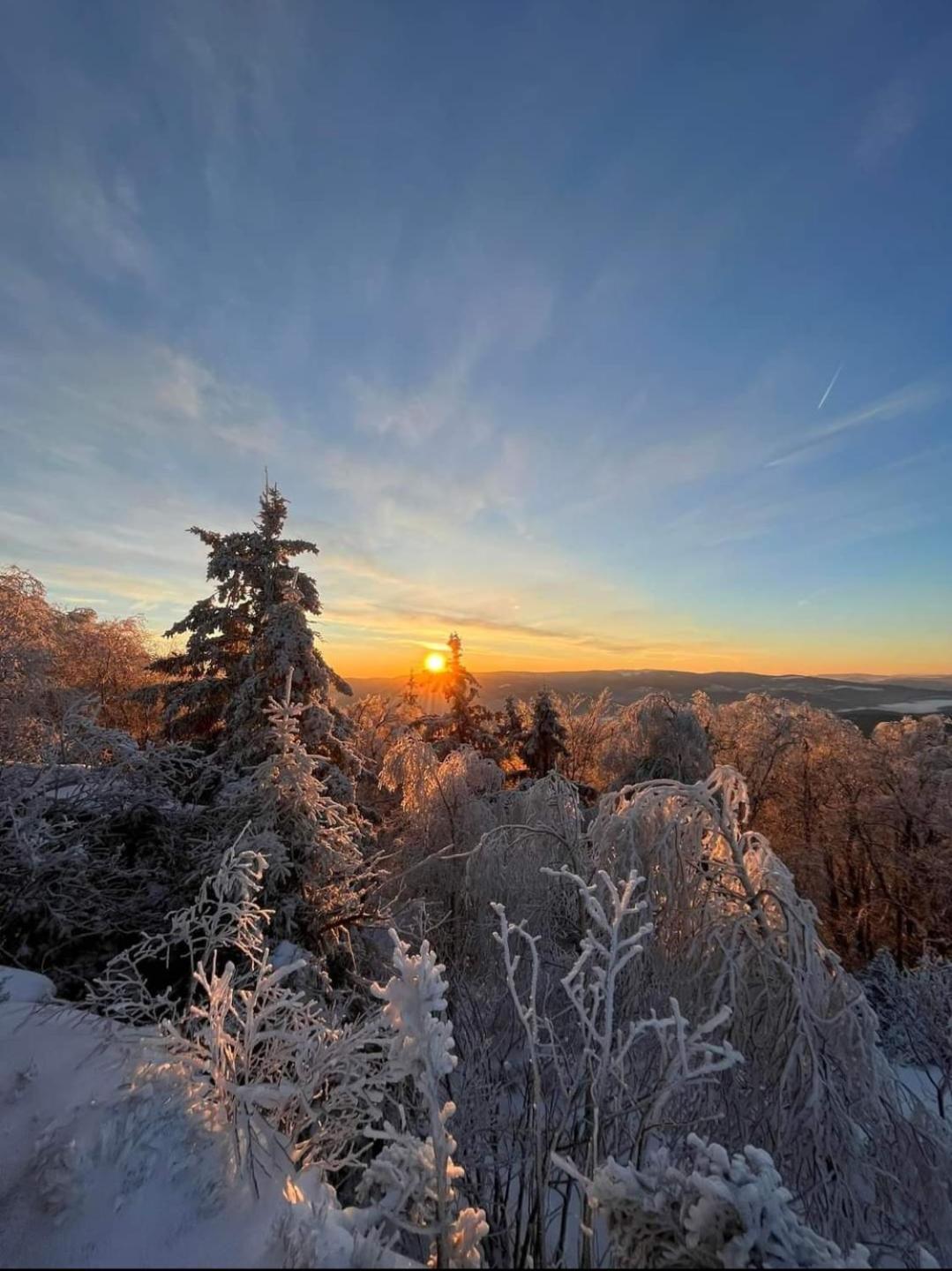 Gite De Rarounette Au Coeur Des Vosges Celles-sur-Plaine Exterior photo