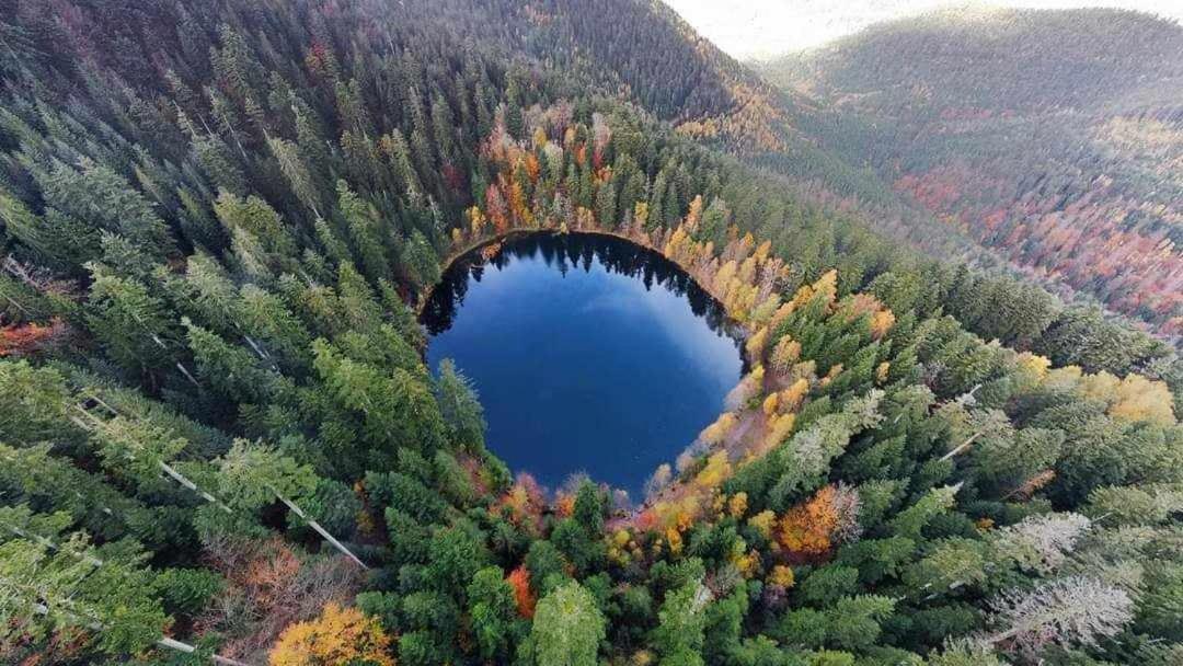 Gite De Rarounette Au Coeur Des Vosges Celles-sur-Plaine Exterior photo