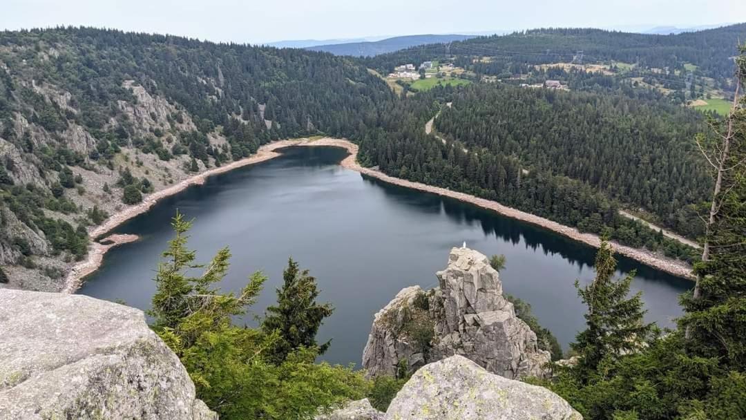 Gite De Rarounette Au Coeur Des Vosges Celles-sur-Plaine Exterior photo