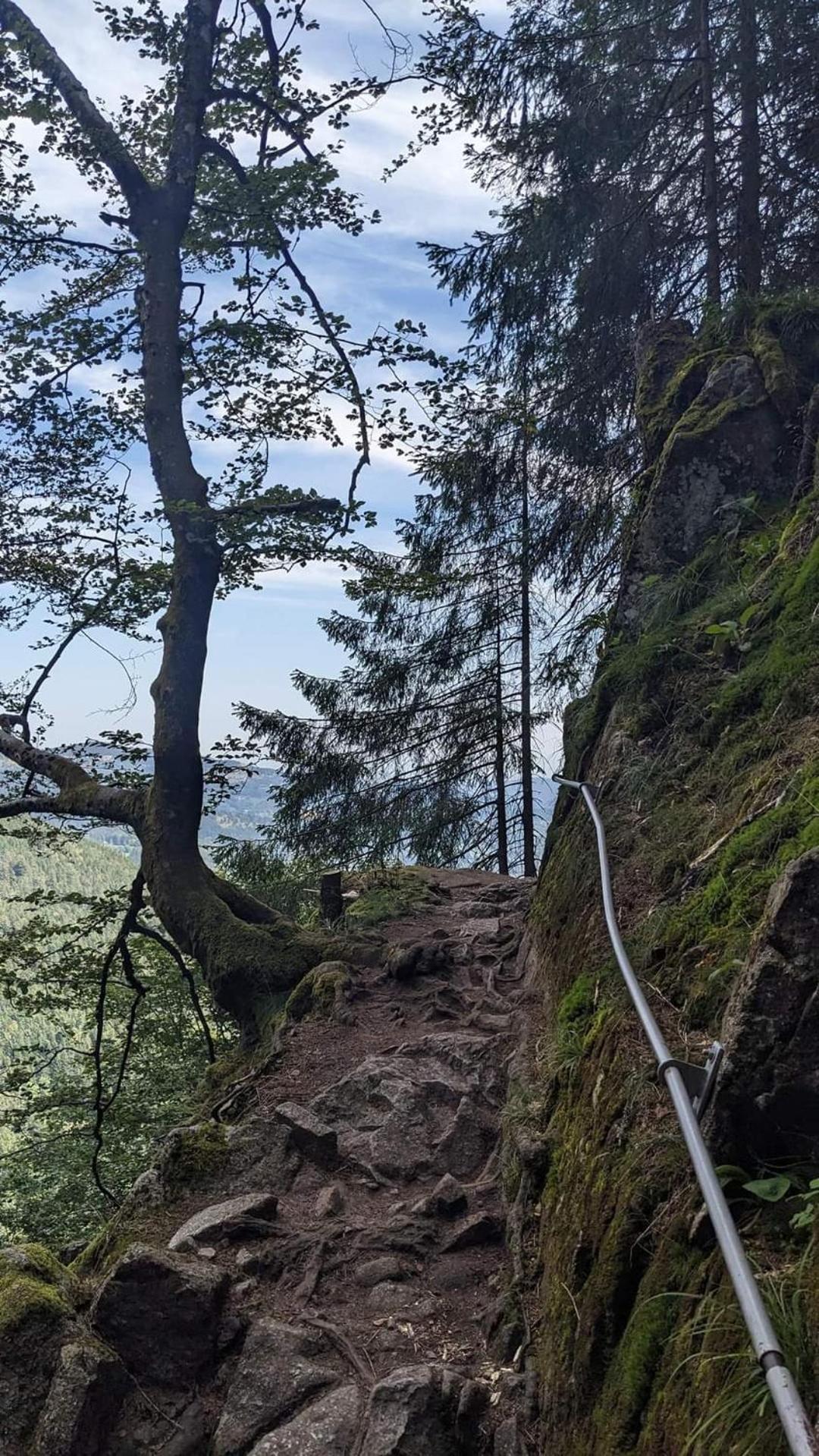 Gite De Rarounette Au Coeur Des Vosges Celles-sur-Plaine Exterior photo